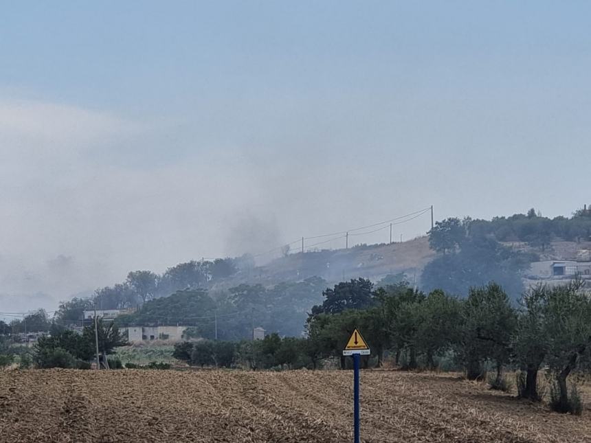 Fiamme a Ferragosto, incendio a ridosso del bosco Corundoli 