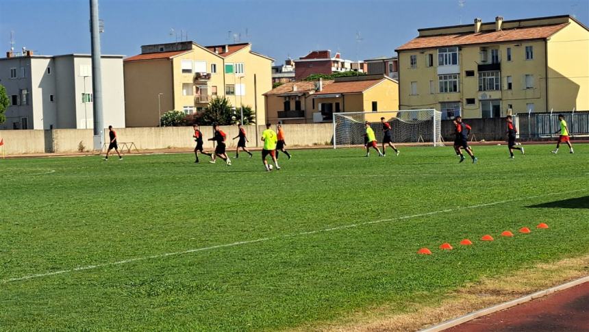 Termoli calcio 1920-Campobasso Primavera