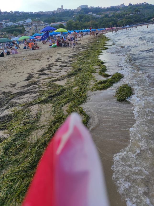 Proseguono a Vasto  i lavori di pulizia lungo il tratto costiero della Marina   