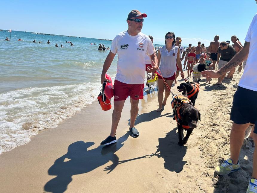 Cani di salvataggio in azione sulla spiaggia di Campomarino lido