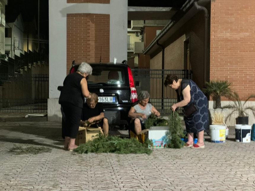 L'infiorata di San Rocco