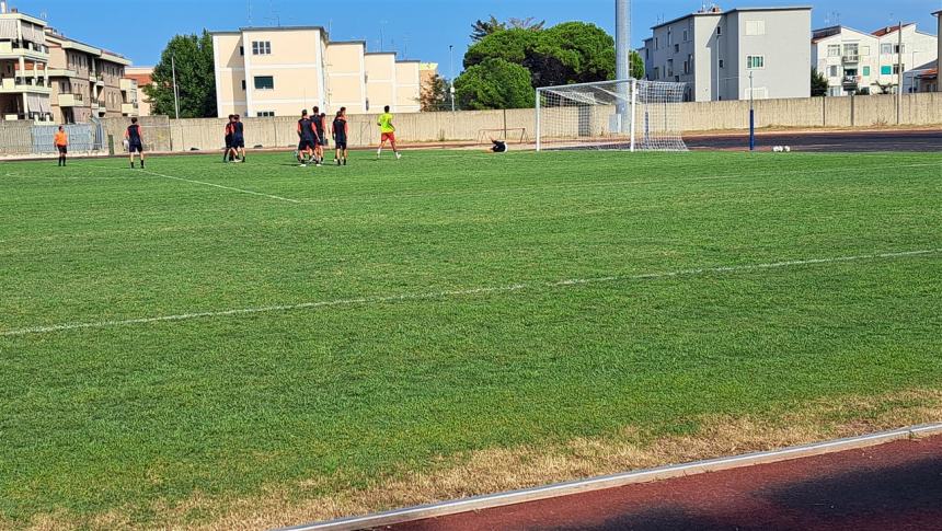 Termoli calcio 1920-Campobasso Primavera