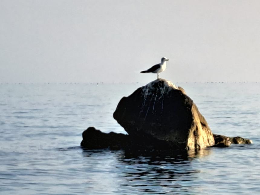 Ultima domenica di agosto 