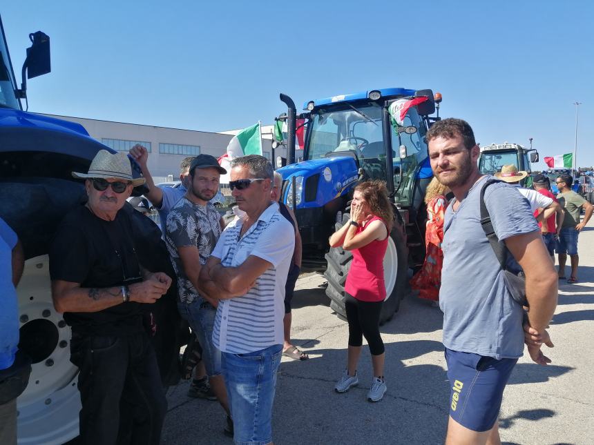 Protesta dei trattori a Vasto: "Un'azienda media ha perso 100 mila euro, oltre a investimenti fatti"