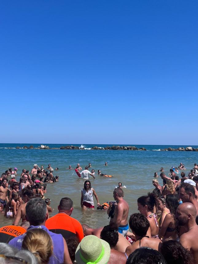 Cani di salvataggio in azione sulla spiaggia di Campomarino lido