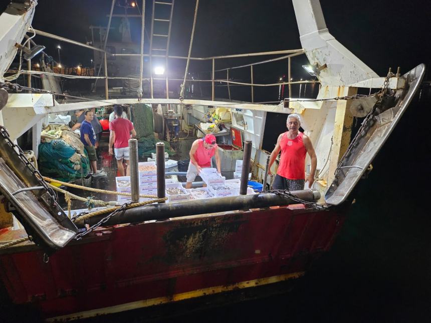 Sbarcati già quasi 35 quintali di prodotto ittico per la Sagra del Pesce