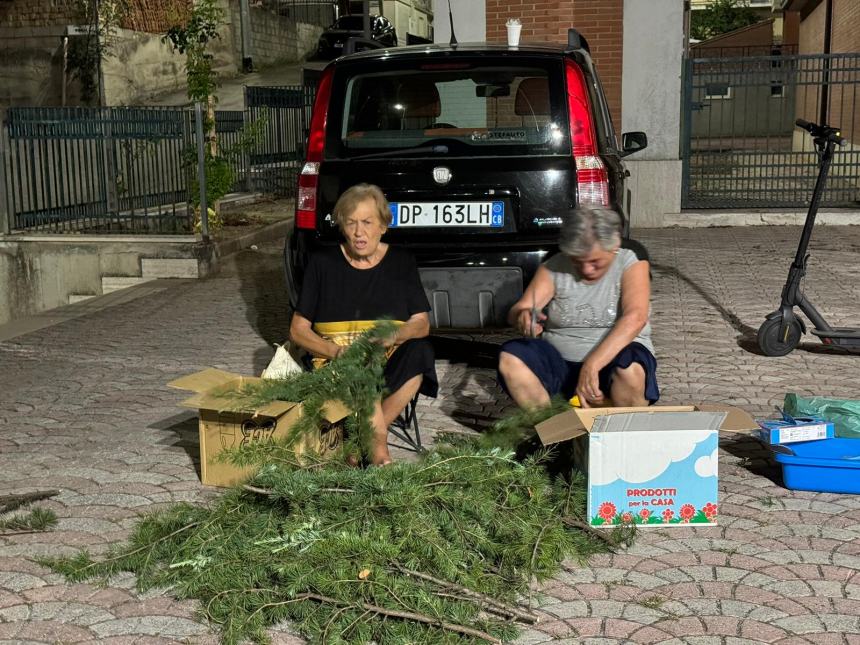 L'infiorata di San Rocco