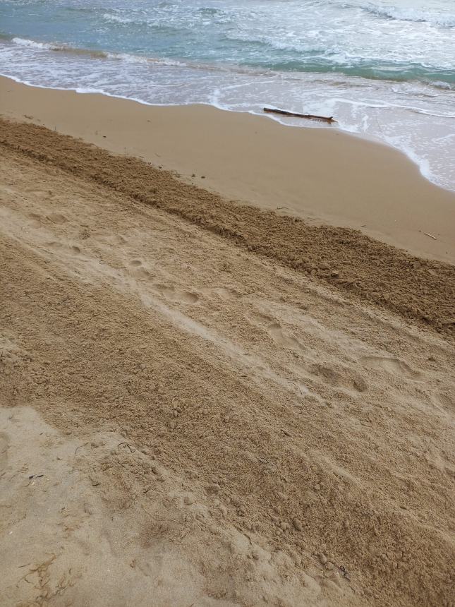 La pulizia della spiaggia libera