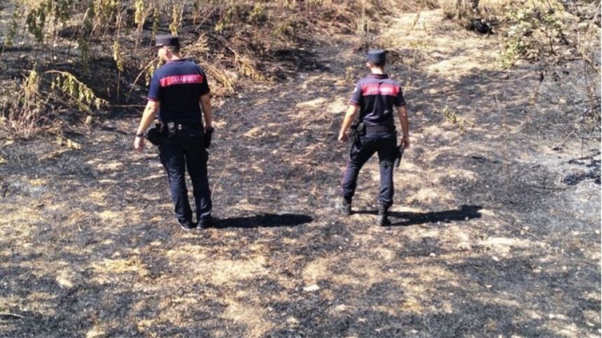 Fiamme in un uliveto a Carpineto Sinello, denunciato il responsabile