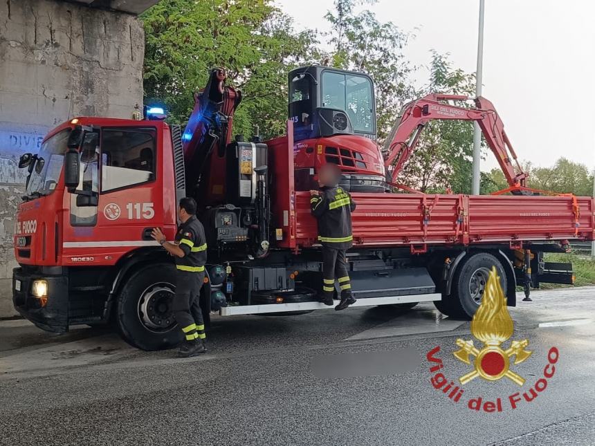 Vigili del fuoco 