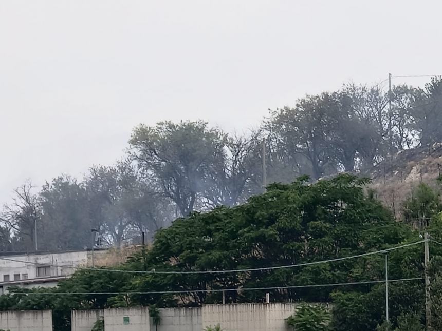 Fiamme a Ferragosto, incendio a ridosso del bosco Corundoli 