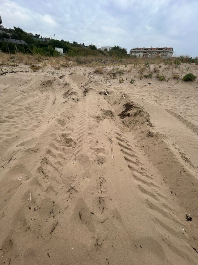 Siti da tutelare e turisti da accogliere, sulle spiagge libere si apra un confronto con la Regione