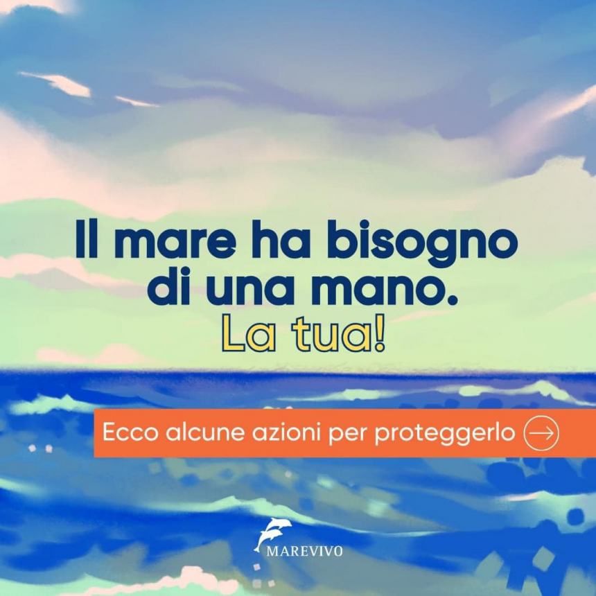 «Il mare ha bisogno di una mano: la tua»