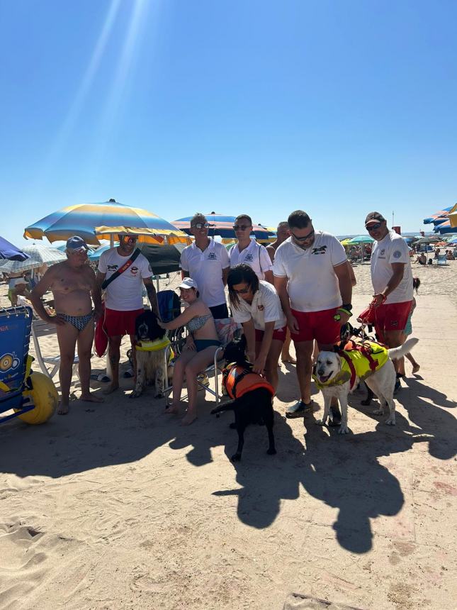 Cani di salvataggio in azione sulla spiaggia di Campomarino lido