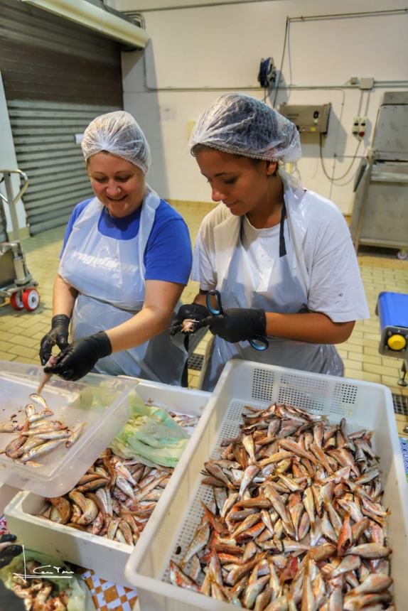 Sbarcati già quasi 35 quintali di prodotto ittico per la Sagra del Pesce