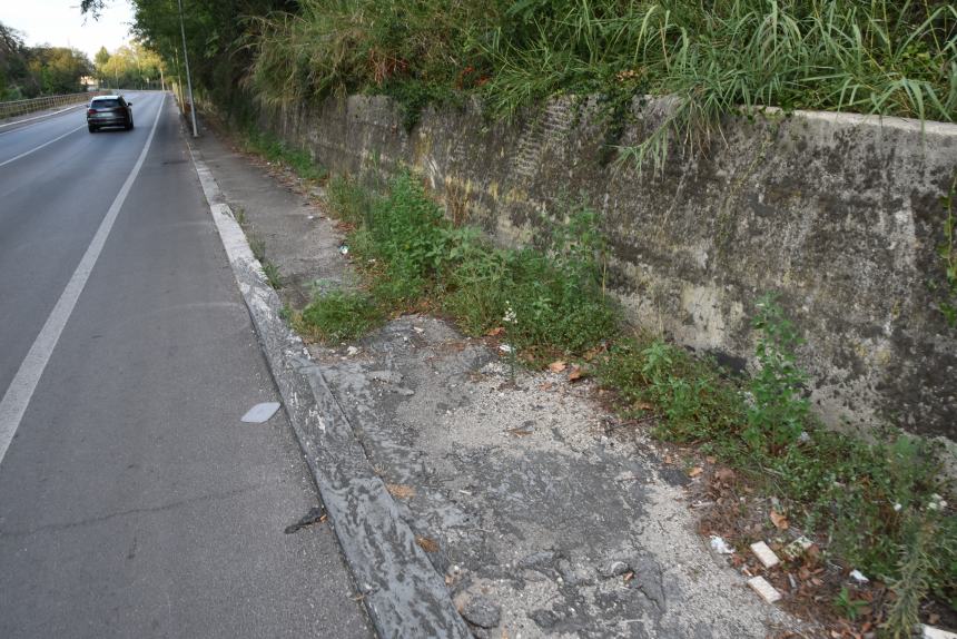 Verde urbano: nelle periferie funziona poco 