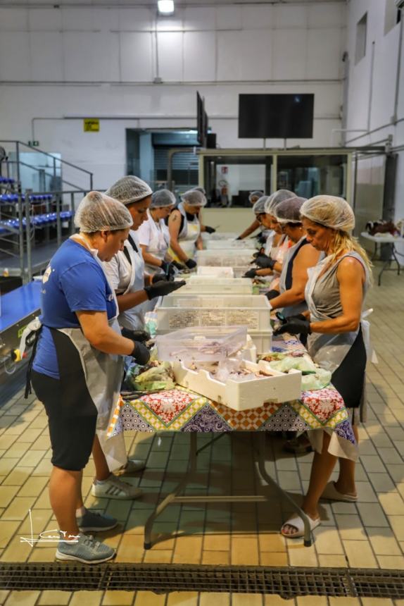 Sbarcati già quasi 35 quintali di prodotto ittico per la Sagra del Pesce