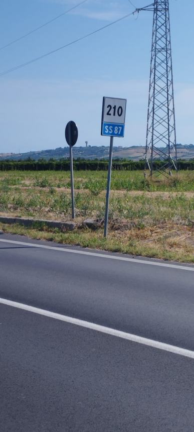 "Consumatori" in presidio sulla postazione autovelox della statale 87