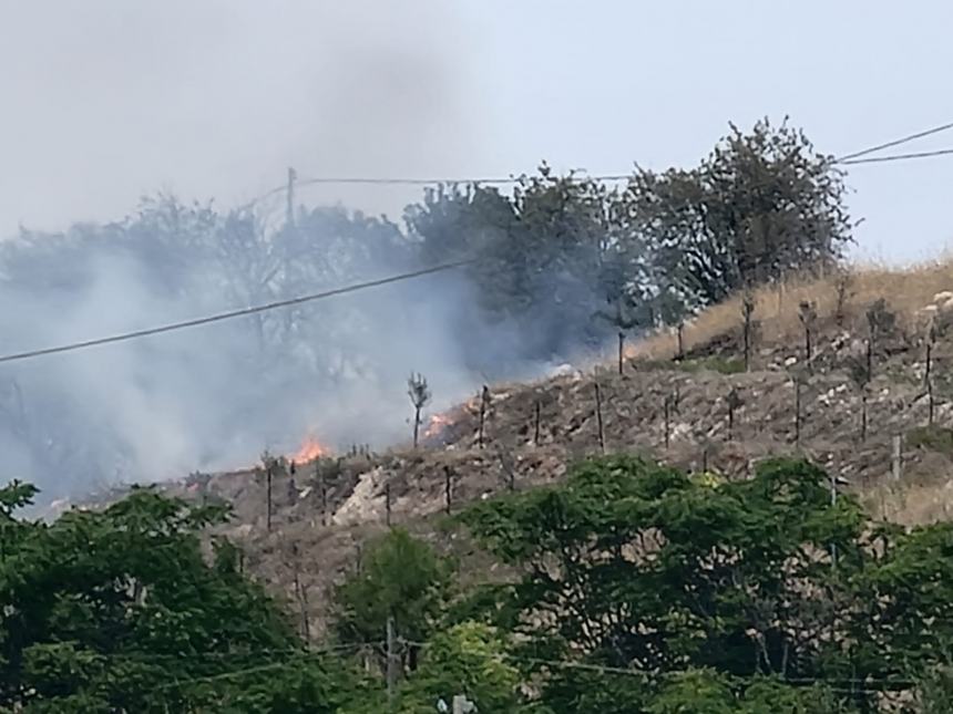 Fiamme a Ferragosto, incendio a ridosso del bosco Corundoli 