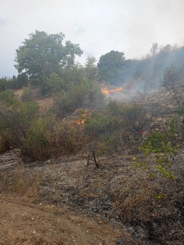 Fiamme tra Fondovalle Treste e Montalfano, roghi domati