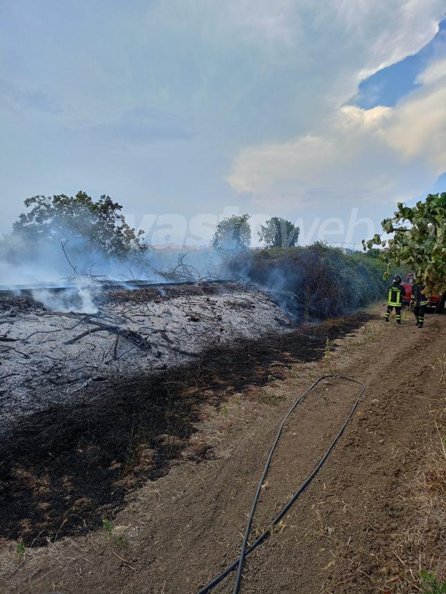 Fiamme sull'A14 tra Vasto nord e Vasto sud e nella zona industriale di San Salvo