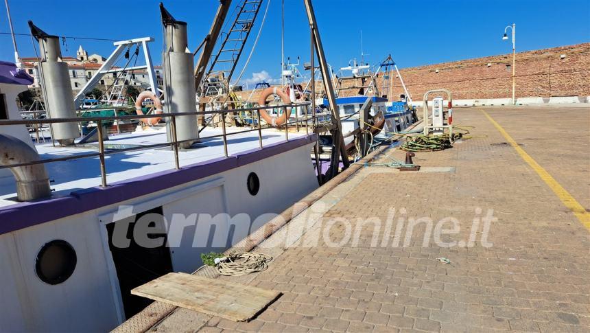 Pescherecci verso il ritorno in mare