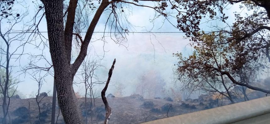 Ampio incendio a Rocca San Giovanni: necessario l’intervento di mezzi aerei