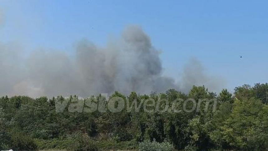 Fiamme sull'A14 tra Vasto nord e Vasto sud e nella zona industriale di San Salvo