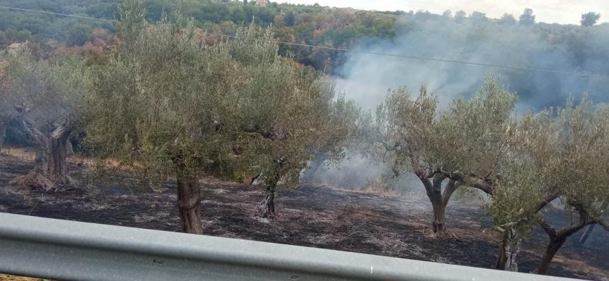 Ampio incendio a Rocca San Giovanni: necessario l’intervento di mezzi aerei