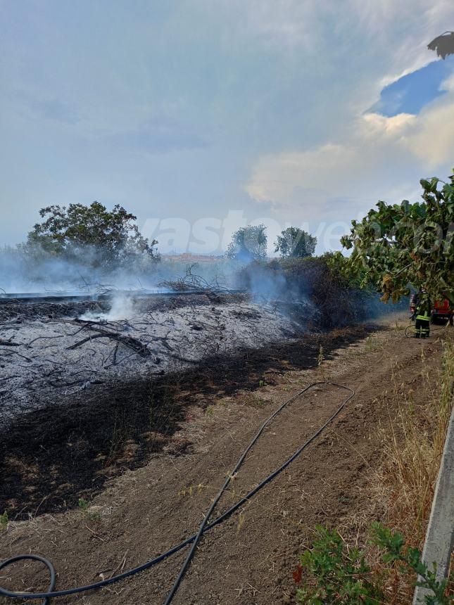 Fiamme sull'A14 tra Vasto nord e Vasto sud e nella zona industriale di San Salvo