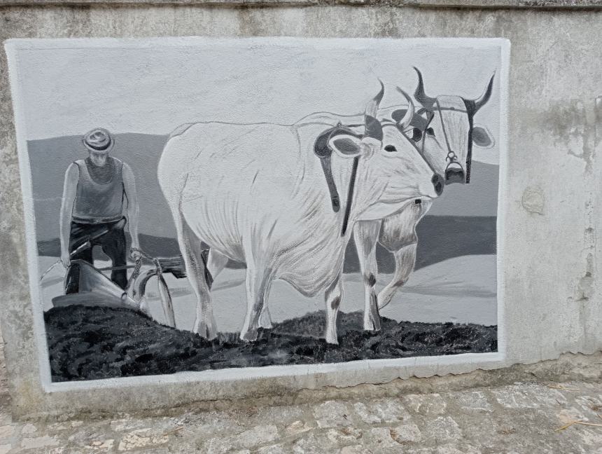 «Murales a Palata, elogio alla bellezza»