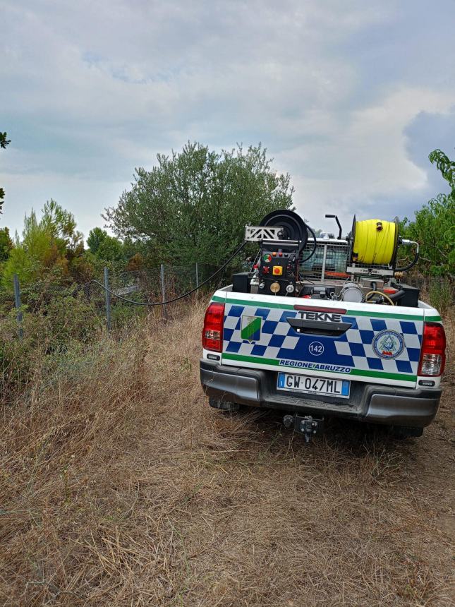 Fiamme sull'A14 tra Vasto nord e Vasto sud e nella zona industriale di San Salvo