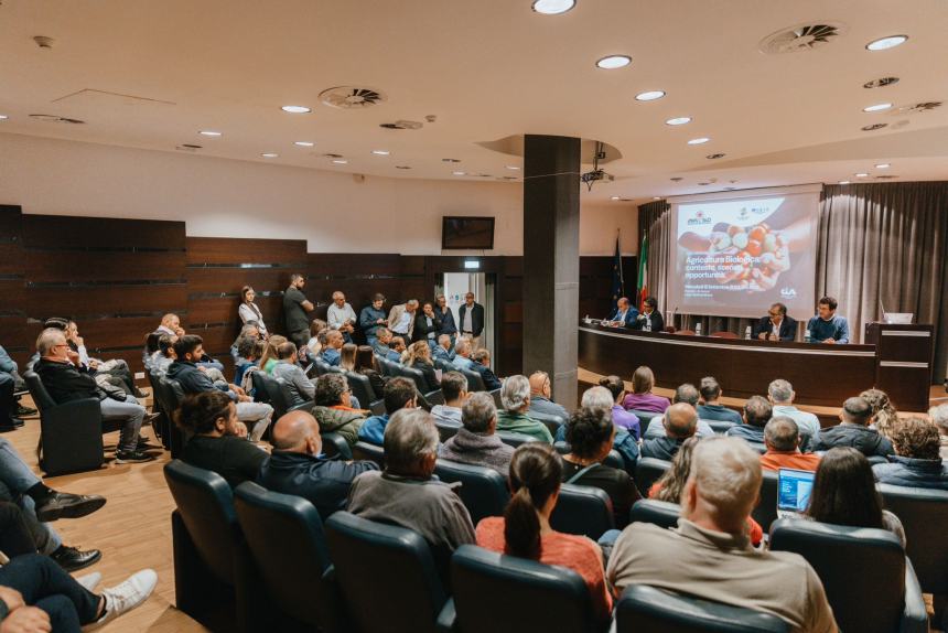 Agricoltura biologica in Abruzzo: opportunità e sviluppo per il futuro del settore 