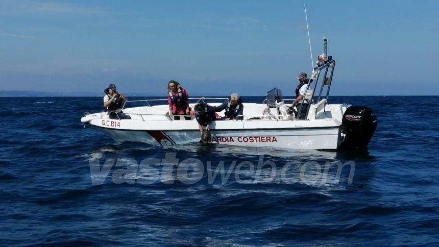 Tartaruga liberata a Punta Penna: "Gesto simbolico per rafforzare il legame comunità-ambiente"