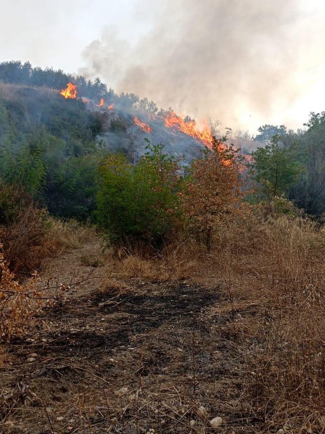 Fiamme tra Fondovalle Treste e Montalfano, roghi domati