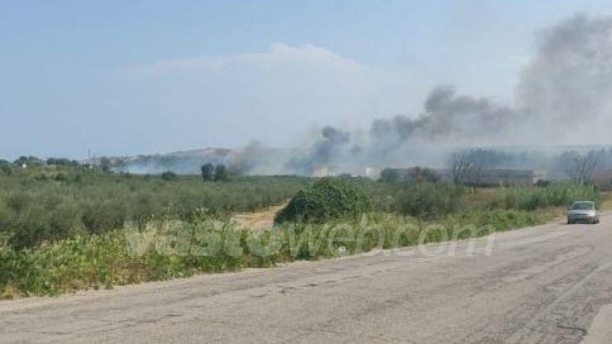 Fiamme sull'A14 tra Vasto nord e Vasto sud e nella zona industriale di San Salvo