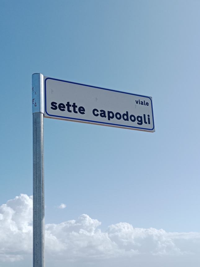 Nasce a Punta Aderci “Viale dei Capodogli”: “Vasto non dimentica il drammatico spiaggiamento”