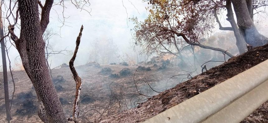 Ampio incendio a Rocca San Giovanni: necessario l’intervento di mezzi aerei