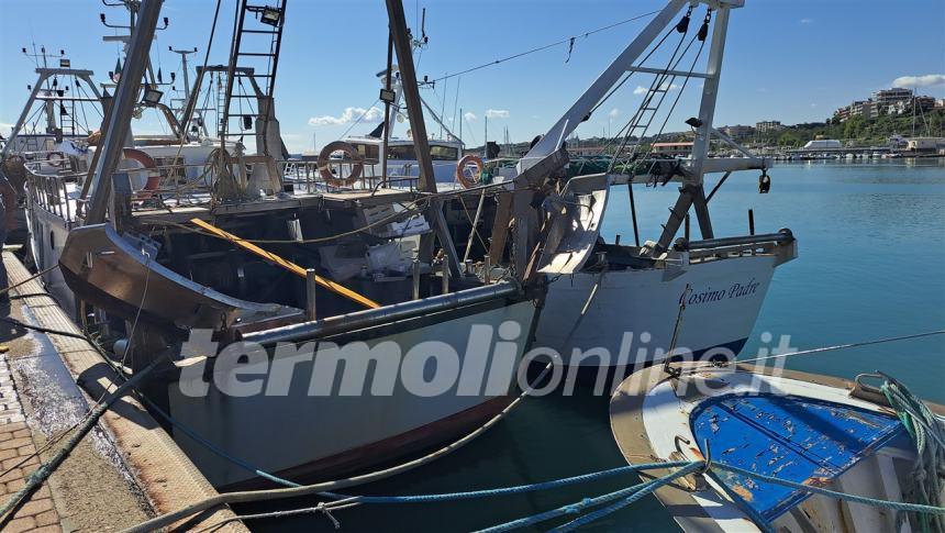 Pescherecci verso il ritorno in mare