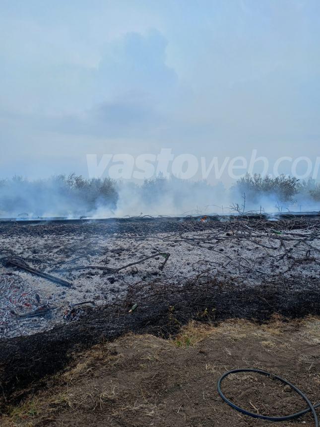 Fiamme sull'A14 tra Vasto nord e Vasto sud e nella zona industriale di San Salvo