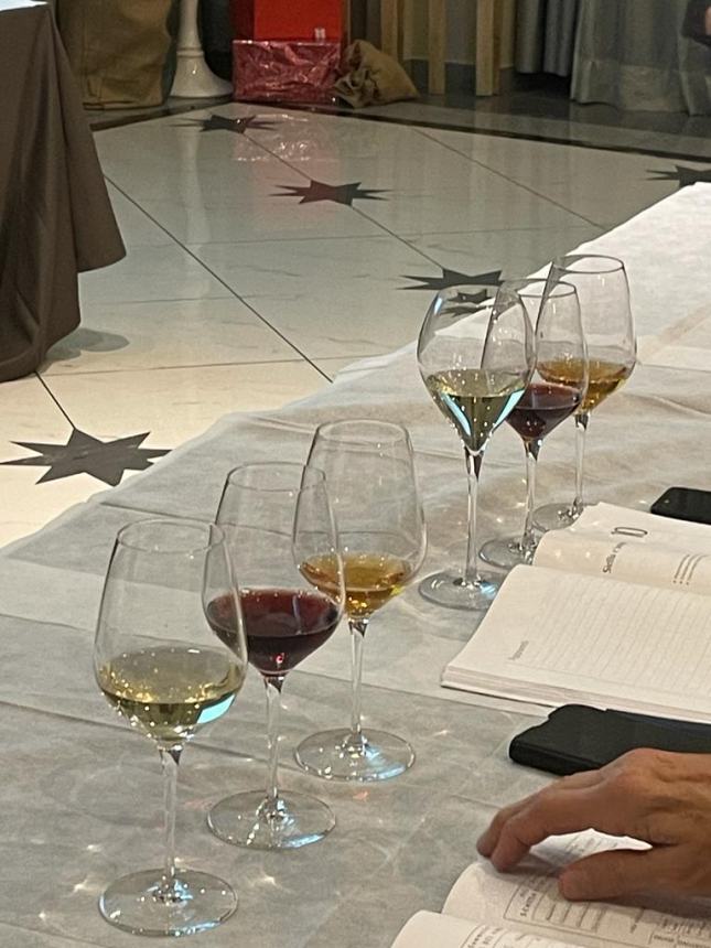 Al via a San Salvo dall'8 ottobre il corso di 1° livello professionale per aspiranti Sommelier