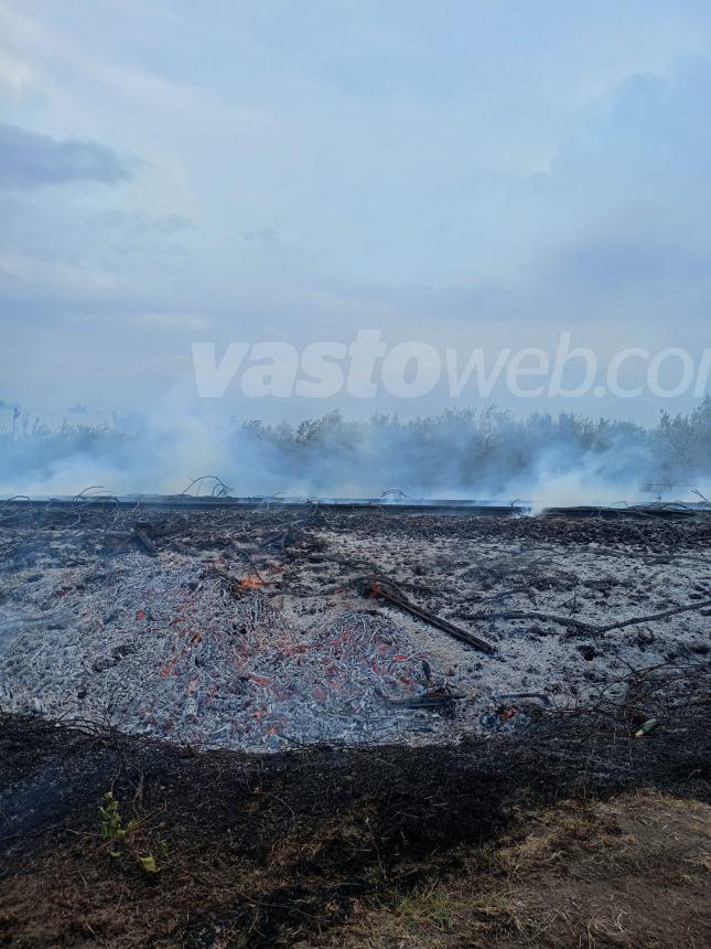 Fiamme sull'A14 tra Vasto nord e Vasto sud e nella zona industriale di San Salvo