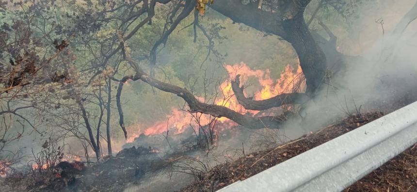 Ampio incendio a Rocca San Giovanni: necessario l’intervento di mezzi aerei