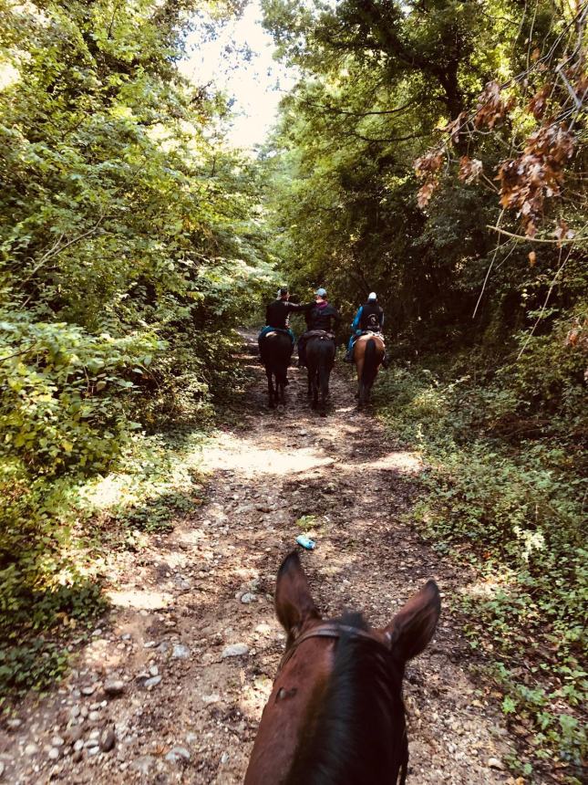 Una passeggiata a cavallo che ricrea il connubio magico con la natura