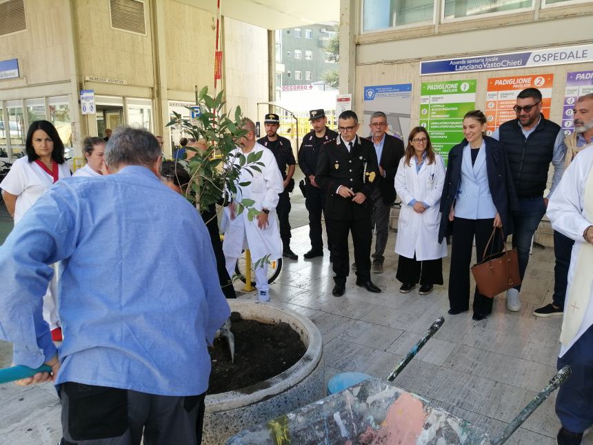 L'albero della salute donato al San Pio: “Ce ne prenderemo cura come con i nostri pazienti”