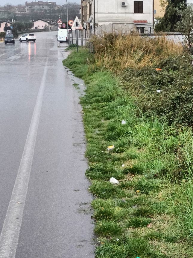 Degrado in Viale Perth, un operaio: "Attendo l'autobus in una steppa abbandonata" 