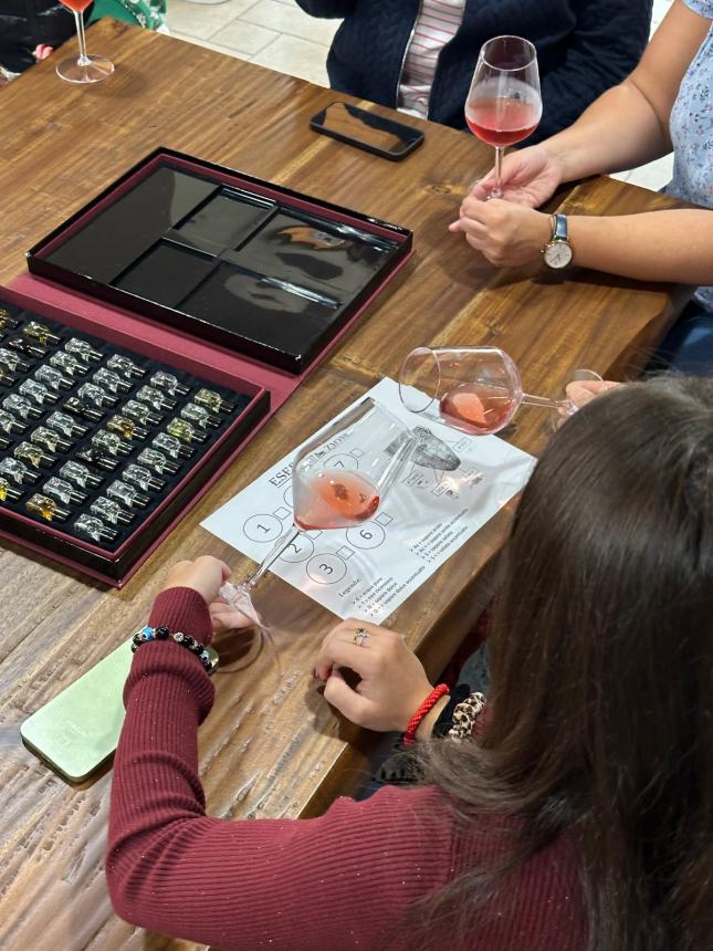 Settimana Erasmus al liceo d'Ovidio, accolti 15 studenti tedeschi