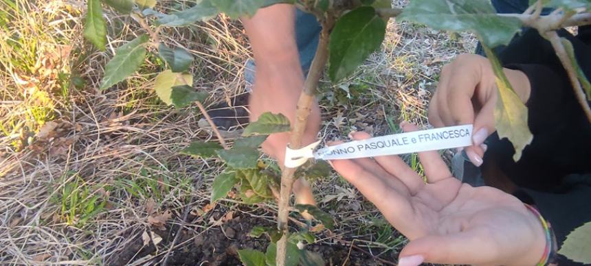 Gli "eco-nonni" protagonisti al Bosco Fantine