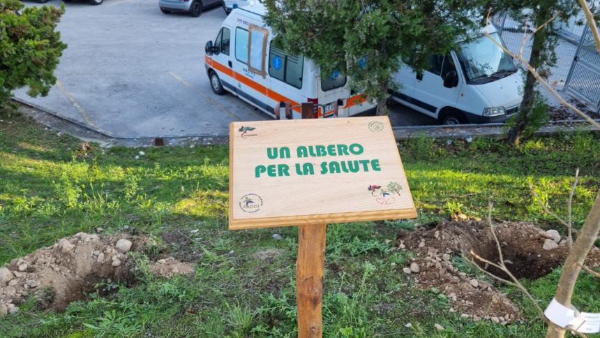 "Un albero per la salute" all'ospedale Cardarelli 