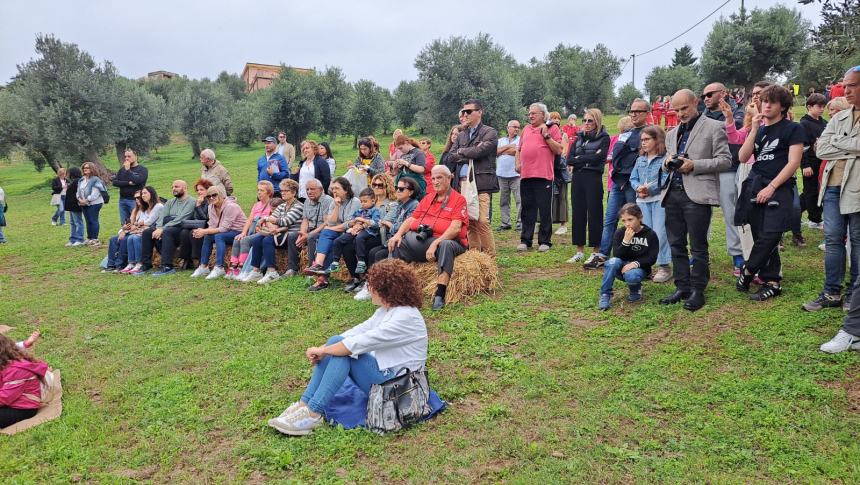 Camminata tra gli olivi 